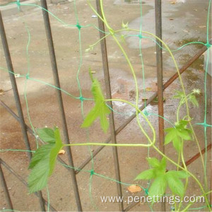 Plastic Supports For Climbing Plants